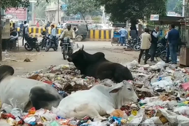 Dirt in gwalior