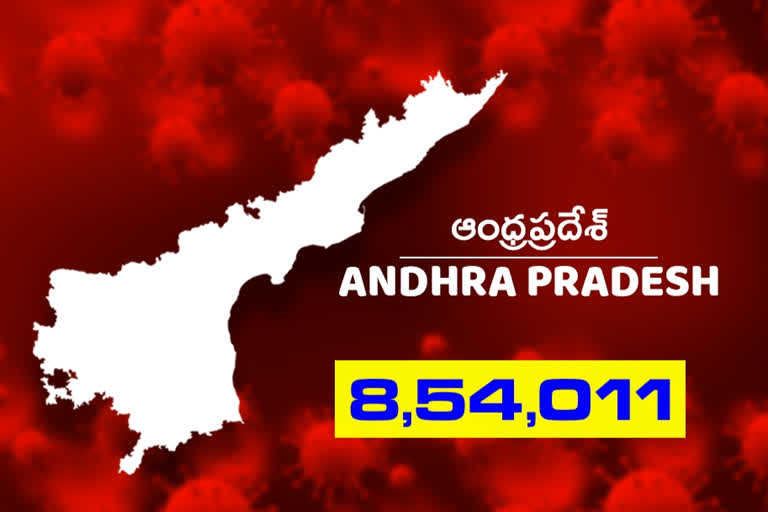 1,056 new corona cases and 14 deaths registered in andhrapradhesh