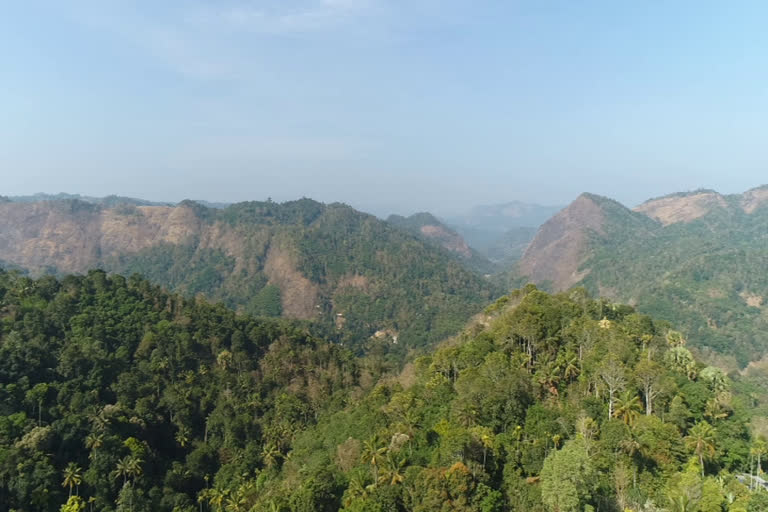 ഇടുക്കി  Environmental activist  granting deed  പട്ടയം  Idukki  court