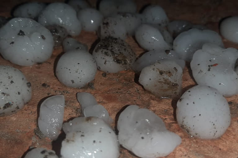 hailstone and rain in jind