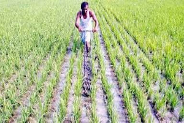 Debt waiver scheme last date for farmers in bhiwani