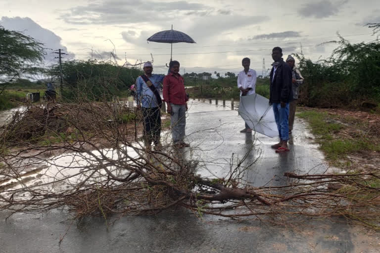 nallavagu overflowing by the rains