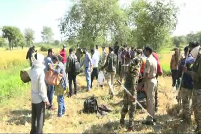 gondia-tiger-hunting