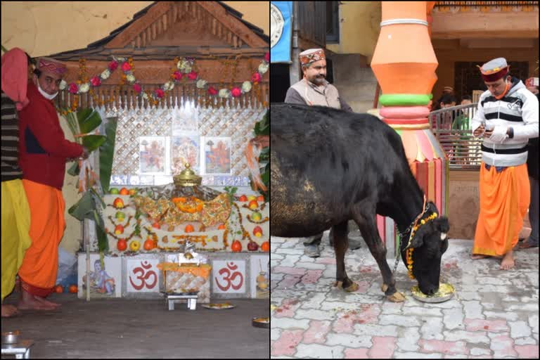 annakut festival kullu