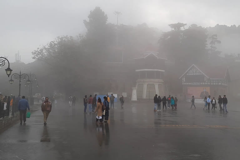 shimla weather update