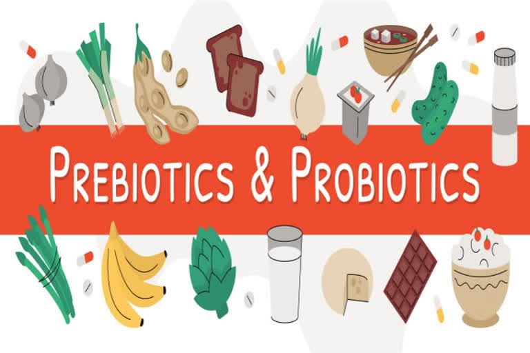 Pre And Probiotic Food