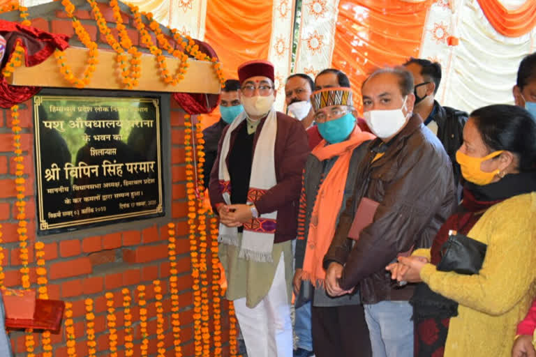 Vipin Singh Parmar laid foundation stone of drinking water scheme in Gram Panchayat Gharana