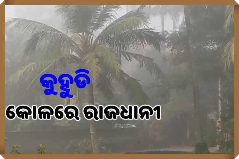 ରାଜଧାନୀରେ ଚଳିତ ଶୀତ ଋତୁର ପ୍ରଥମ କୁହୁଡି