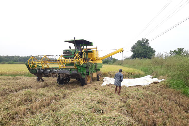 no msp for paddy farmers at krishna district