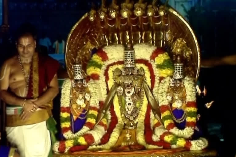 pedasesha-vahanaseva-in-tirumala-on-occasion-of-nagula-chavathi