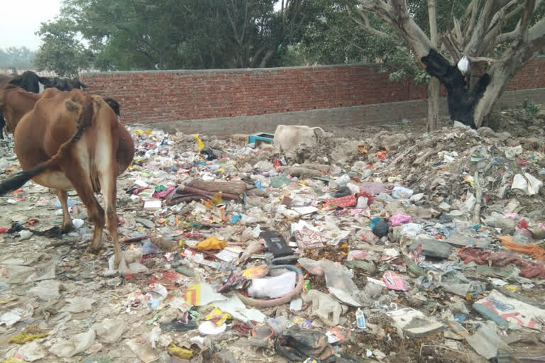 Kali Mata Temple Garbage near Chhath Puja Ghat