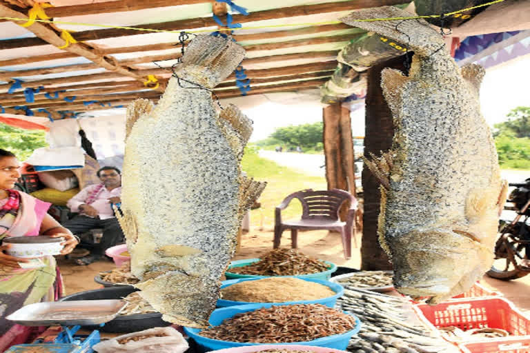 big dry fish at vijayawada