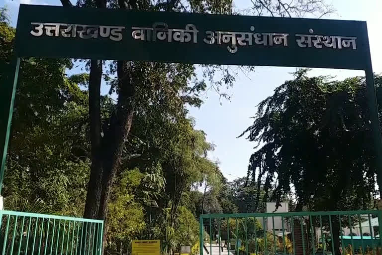 forest research center haldwani