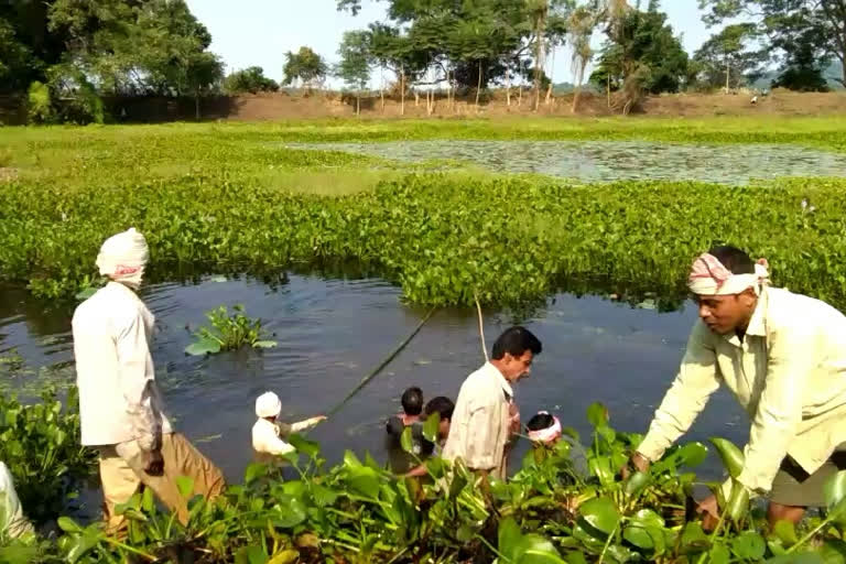 Bharali Baruah Pukhuri