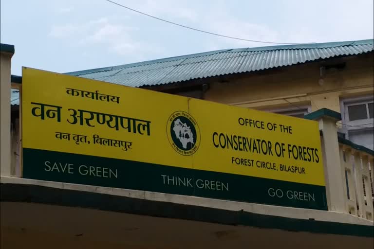 Forest department bilaspur