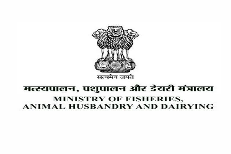 World Fishery Day, 2020 Award