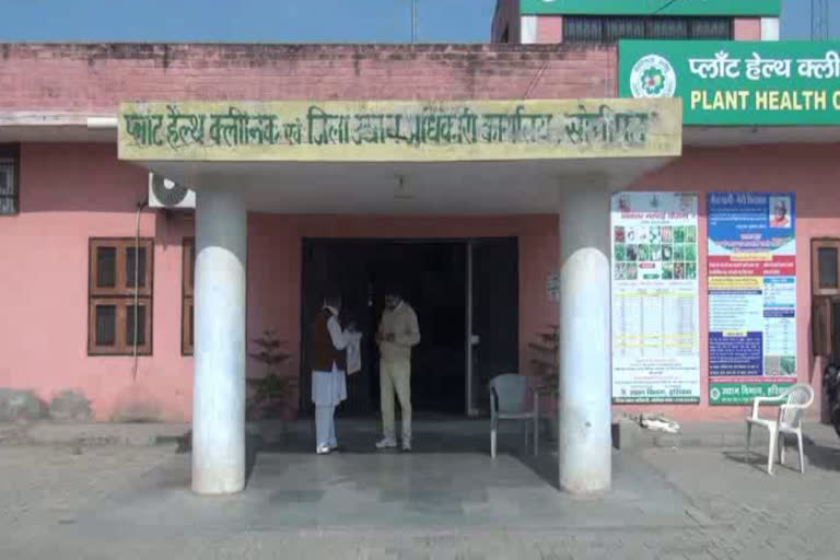 Sonipat horticulture department accused of scam