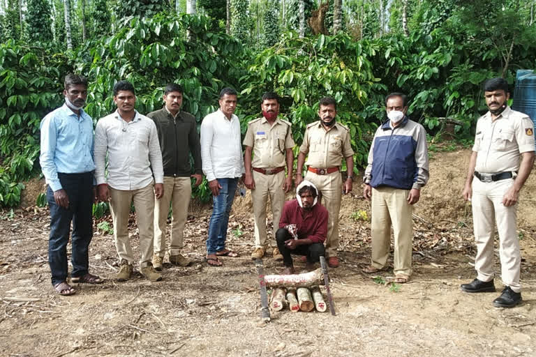 Sandalwood seized at kannalli in mudigere