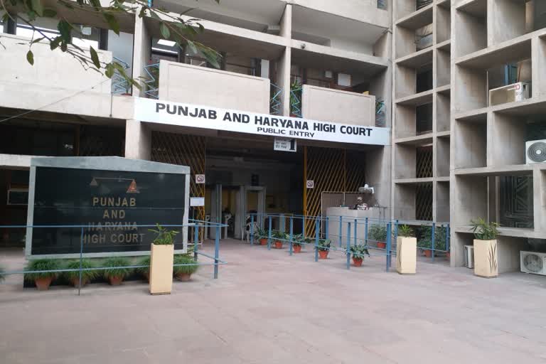 punjab Haryana High Court give permission for the crop to come other state