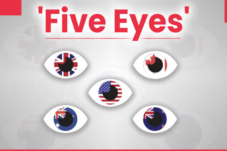 Five Eyes