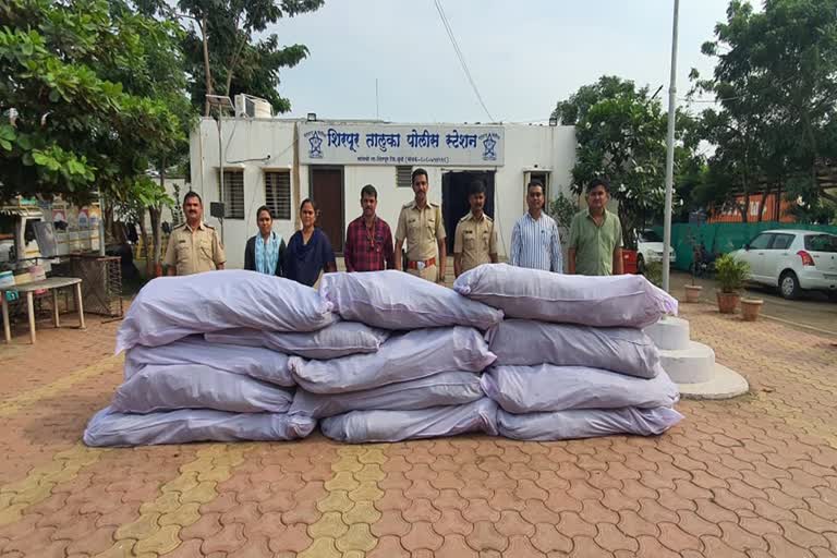 Hemp trees seized shirpur police