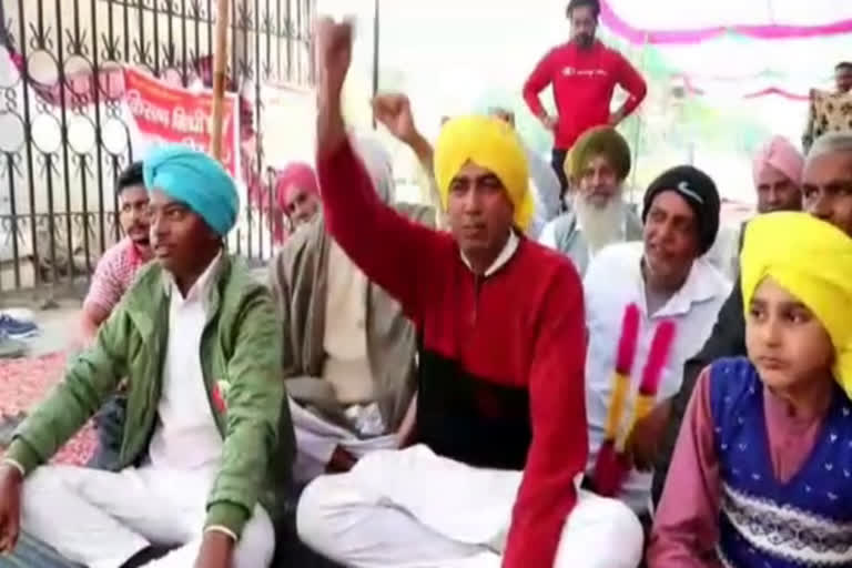 farmers protest against agriculture law in sirsa