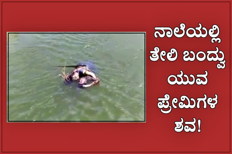 Lovers dead bodies found, Lovers dead bodies found in Hemavati cannel, Lovers dead bodies found in Hemavati cannel at Tumkur, Tumkur news, Tumkur crime news, ಪ್ರೇಮಿಗಳ ಶವ ಪತ್ತೆ, ಹೇಮಾವತಿ ನಾಲೆಯಲ್ಲಿ ಪ್ರೇಮಿಗಳ ಶವ ಪತ್ತೆ, ತುಮಕೂರಿನ ಹೇಮಾವತಿ ನಾಲೆಯಲ್ಲಿ ಪ್ರೇಮಿಗಳ ಶವ ಪತ್ತೆ, ತುಮಕೂರು ಸುದ್ದಿ, ತುಮಕೂರು ಅಪರಾಧ ಸುದ್ದಿ,