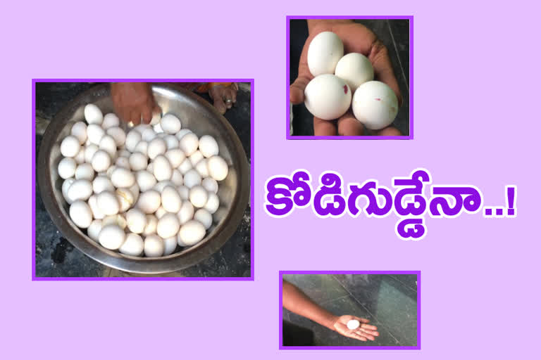 eggs in midday meal