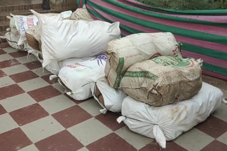 cannabis seized in Chodavaram visakha dist