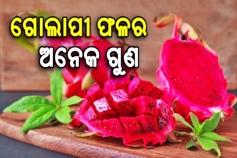 ଚାଷୀଙ୍କ ପାଇଁ  ବରଦାନ ଡ୍ରାଗନ୍‌ ଫ୍ରୁଟ, ଥରେ ଚାଷ କଲେ ପ୍ରଫିଟ 25 ବର୍ଷ ଯାଏଁ