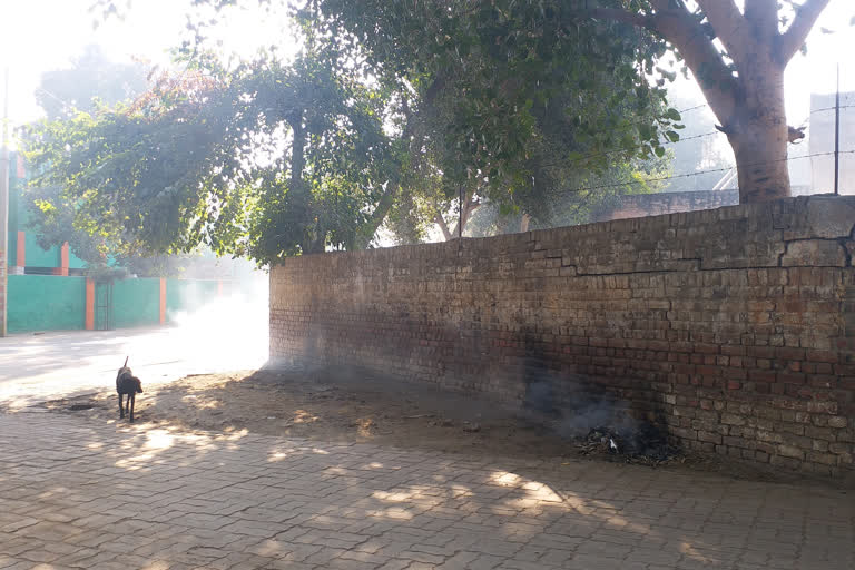 people burning garbage in gohana