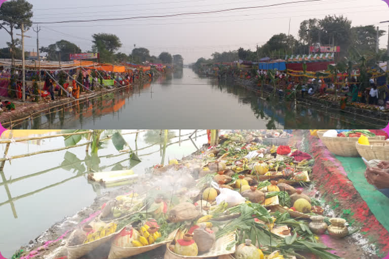 Chhath Puja performed in araria