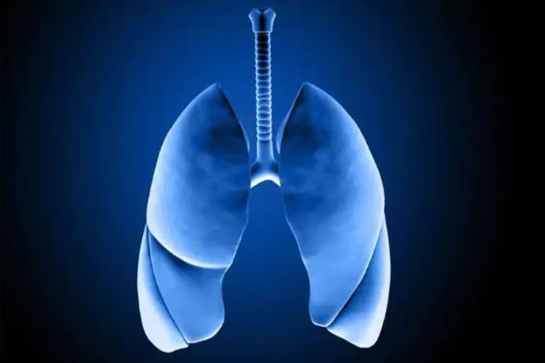 There is no damage to lungs by wearing masks said by scientists