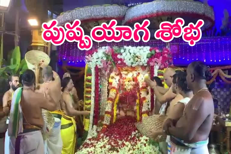 శాస్త్రోక్తంగా శ్రీ పద్మావతి అమ్మవారి పుష్పయాగం