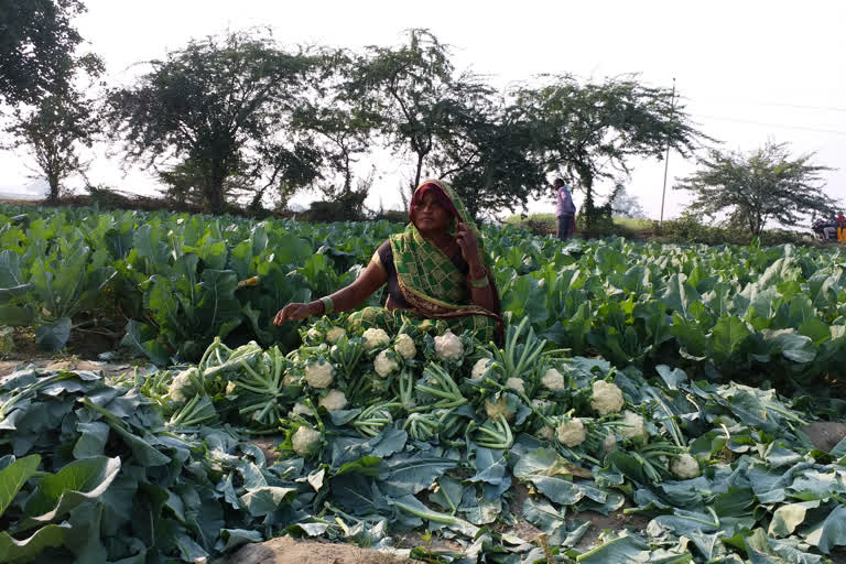 farmers upset in farrukhabad