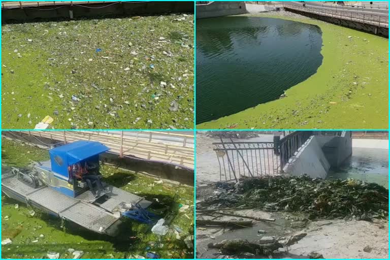 द्रव्यवती नदी का काम अधूरा, Garbage in dravyavatee river