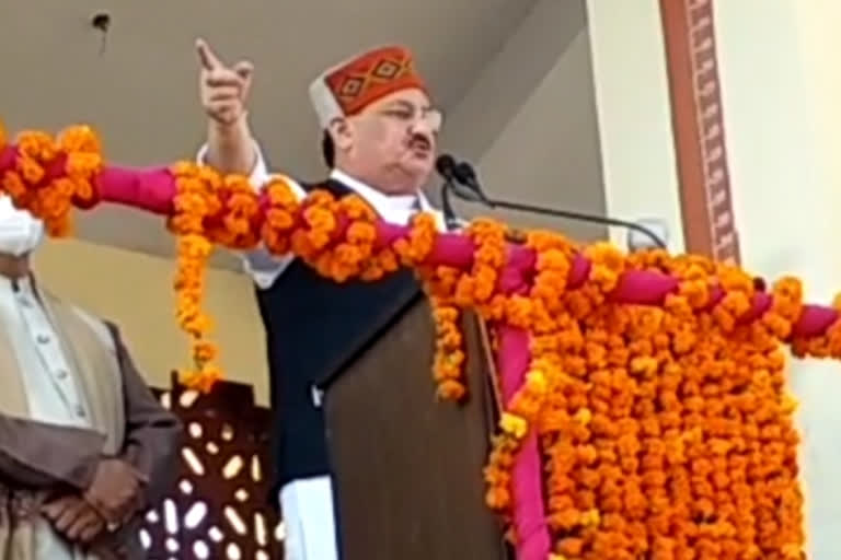 JP Nadda Bilaspur visit