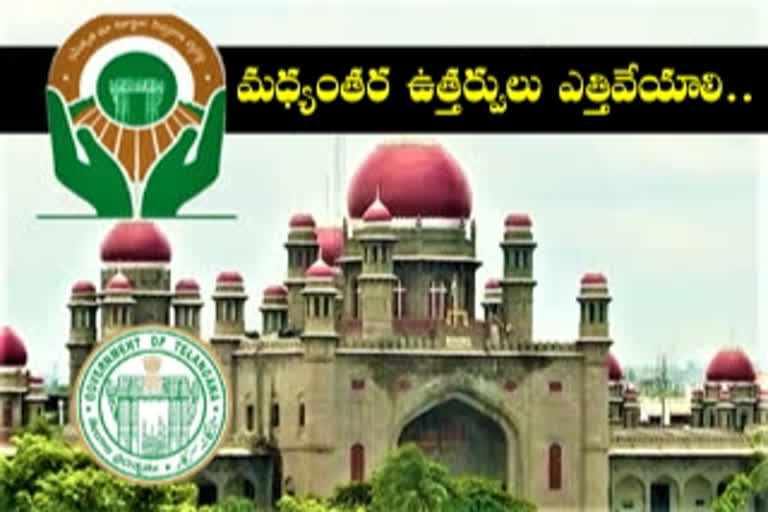 government counter-filed in the High Court on the registration of assets in Dharani portal