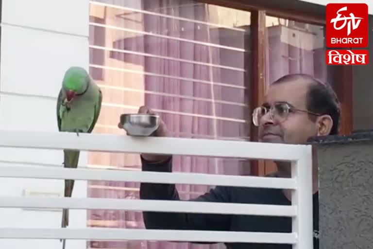 Ramamurthy and Parrot friendship