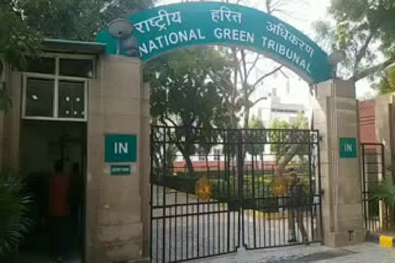 NGT ordered formation of nodal agency for conservation of water bodies