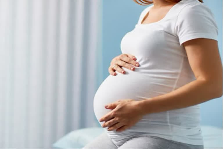 Maharashtra news  Pregnant woman dies in Maharashtra  Pregnant woman dies  Palghar news  ഗർഭിണി മരിച്ചു  ആംബുലൻസ് സേവനം ലഭിക്കാൻ വൈകി  മഹാരാഷ്ട്ര വാർത്ത