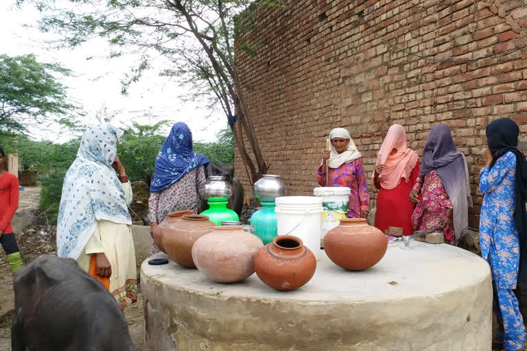 CM Khattar took meeting of mewat development board regarding water problem