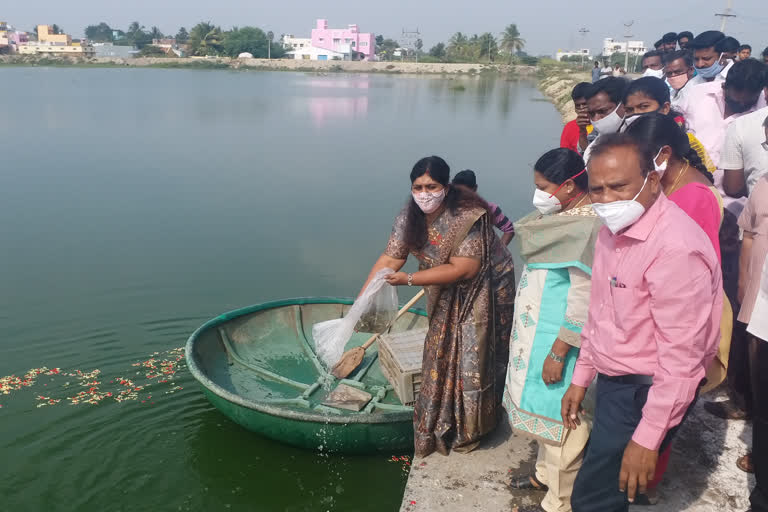 District Collector released the fish seed