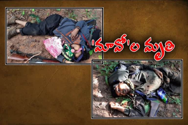 ఎదురుకాల్పుల్లో ముగ్గురు మావోయిస్టుల మృతి