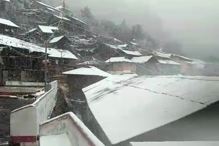 snowfall in Uttarkashi