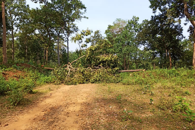 Naxalites vandalize Bastar Health Center