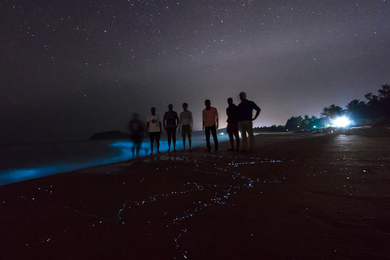 Bioluminescence makes Karwar Beach turn radiant blue