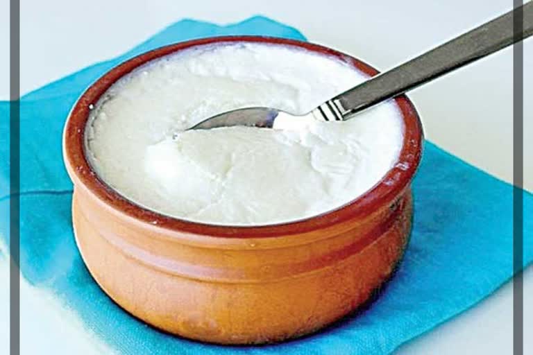 CURD PROTECTS FOR BREAST