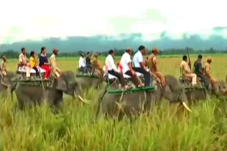 Kaziranga national park receives 13K footfall in one month  Kaziranga national park  Tourists influx in Kaziranga national park  കാസിരംഗ ദേശീയോദ്യാനം  അസം  സന്ദര്‍ശനം നടത്തിയവര്‍ പതിമൂന്നായിരത്തിലധികം  Assam