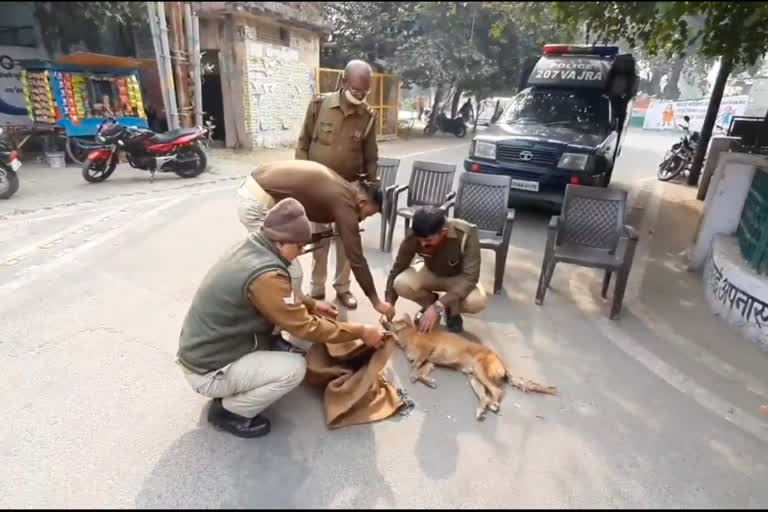 कुत्ते को ठीक करते पुलिस कर्मी.